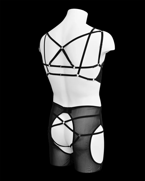 Set 1 - Image 2