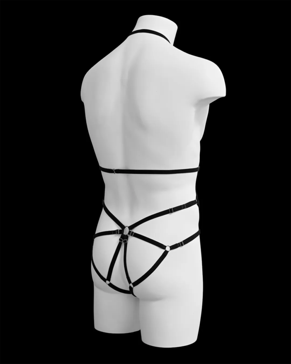 Harness 1 - Image 2