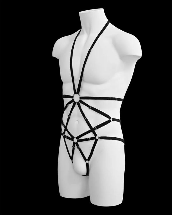 Harness 1